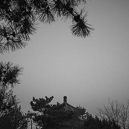 《战地6》开发者：不希望信息泄露 但有时必须冒险